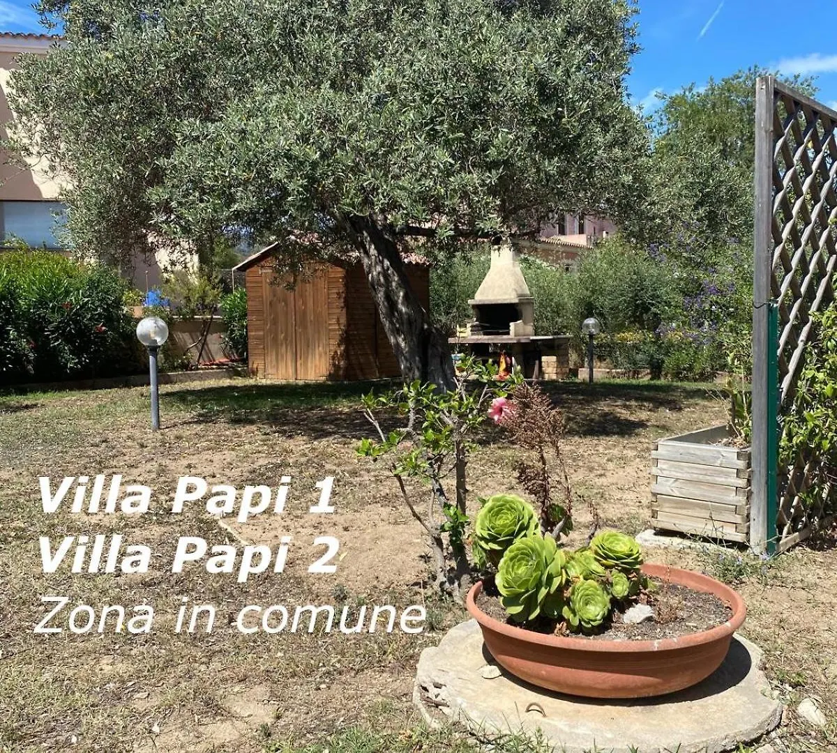 Villa Papi San Teodoro  Apartment